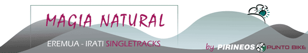 Logo Basoak Baztan-Irati MTB