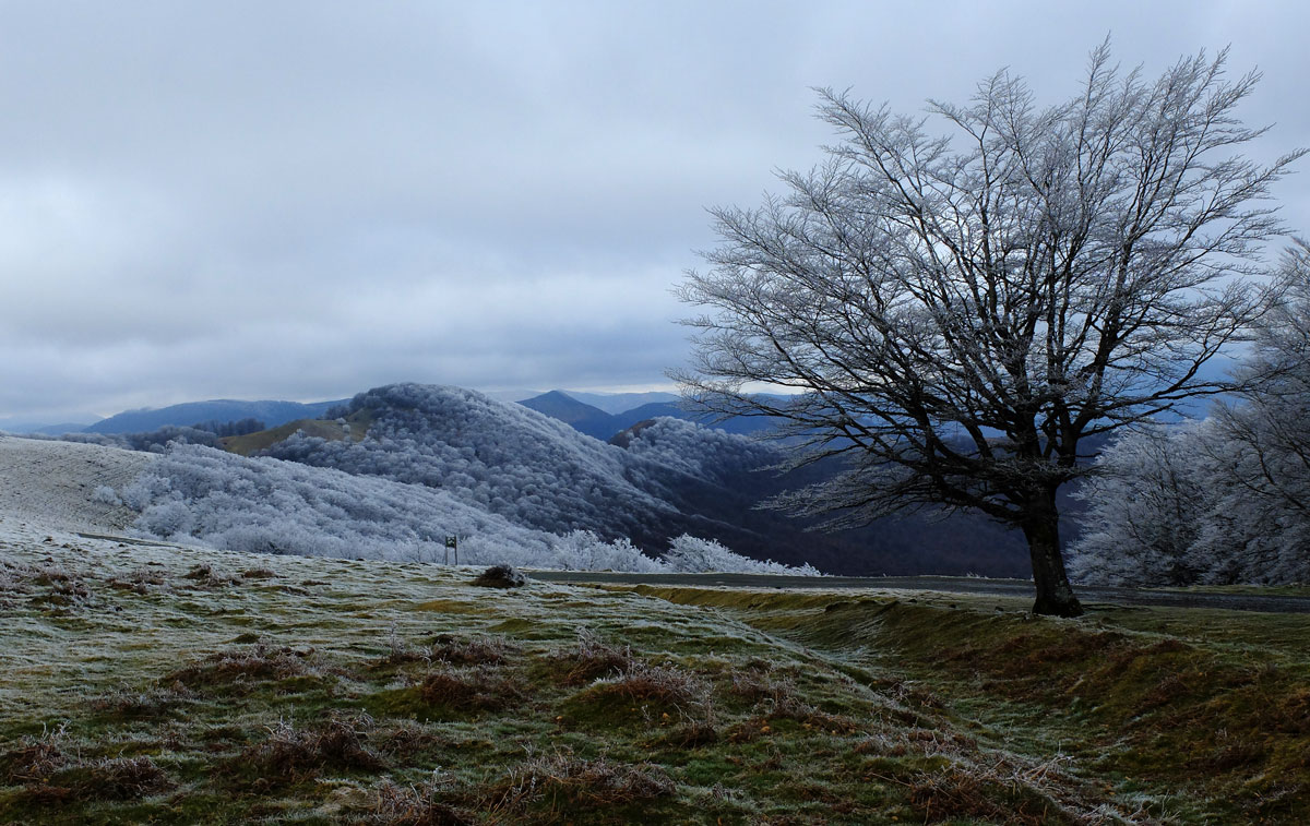 Montes-Belate-01