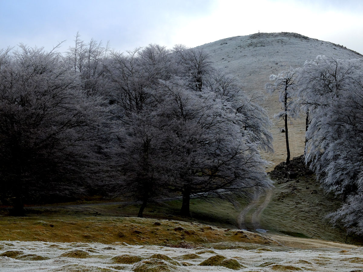 Montes-Belate-02