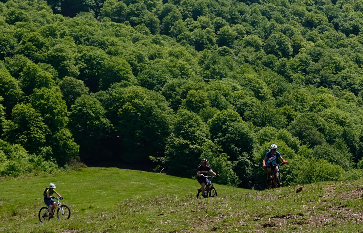 Bosque & Bikers