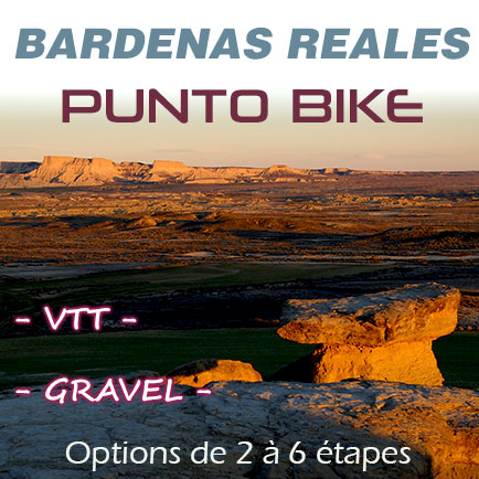 thumb-Bardenas-reales-Punto-Bike