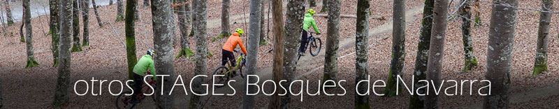 mas-Bosques-de-Navarra-packs