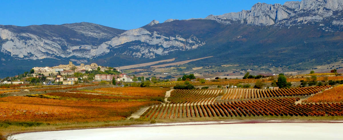 Viñedos de Laguardia y la Sierra de Cantabria