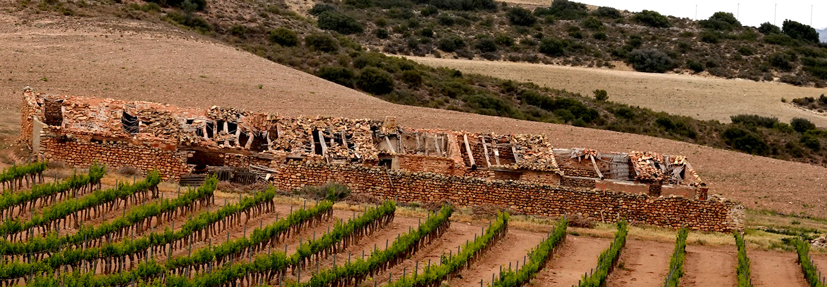 Pano-ruin-and-wineyard