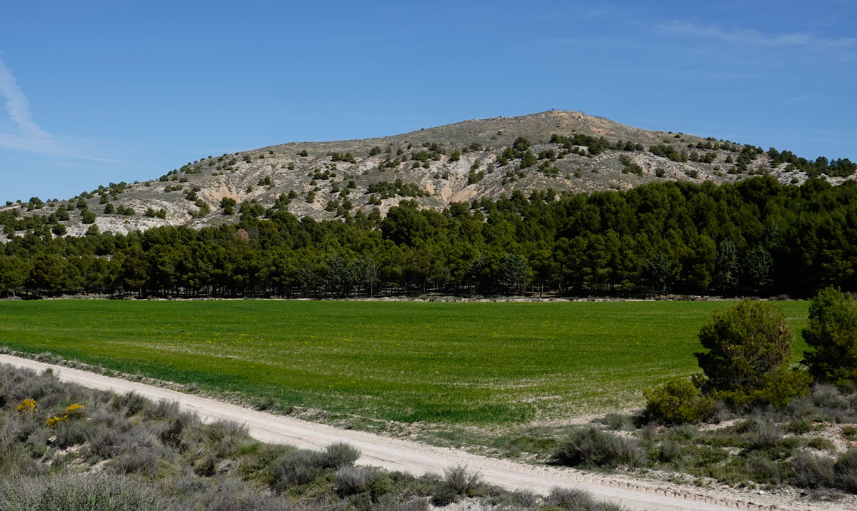 Cerro El Burren