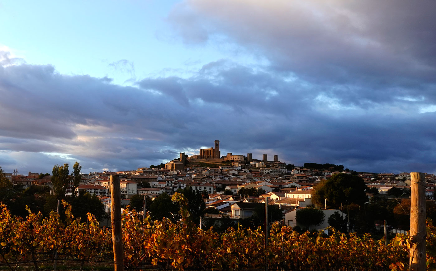 Castillo de Artajona